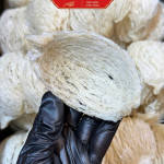 Tổ Yến Tinh Chế Nguyên Sợi Thượng Hạng AN KHANG 30-50-100g, Yến Sào Khánh Hòa Chất Lượng Bổ Dưỡng