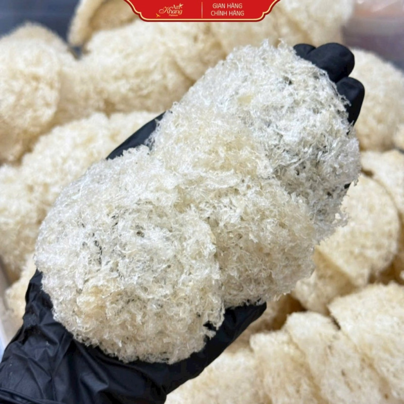 Yến Sào Khánh Hòa Tinh Chế Sợi Non Đắp Tổ AN KHANG Từ Yến Tự Nhiên Giàu Dinh Dưỡng Quà Tặng Sức Khỏe