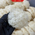 Yến Sào Khánh Hòa Tinh Chế Sợi Non Đắp Tổ AN KHANG Từ Yến Tự Nhiên Giàu Dinh Dưỡng Quà Tặng Sức Khỏe