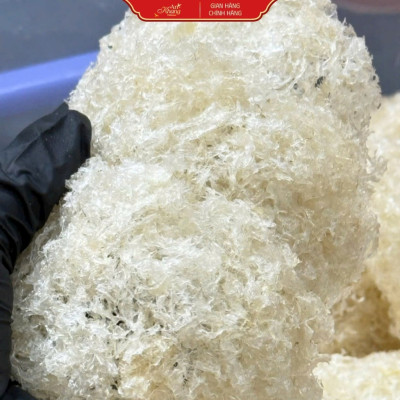 Yến Sào Khánh Hòa Tinh Chế Sợi Non Đắp Tổ AN KHANG Từ Yến Tự Nhiên Giàu Dinh Dưỡng Quà Tặng Sức Khỏe